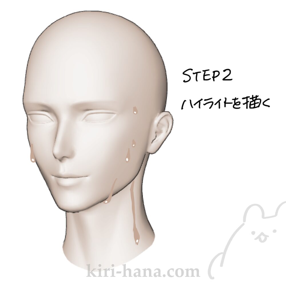 ハイライトを描く