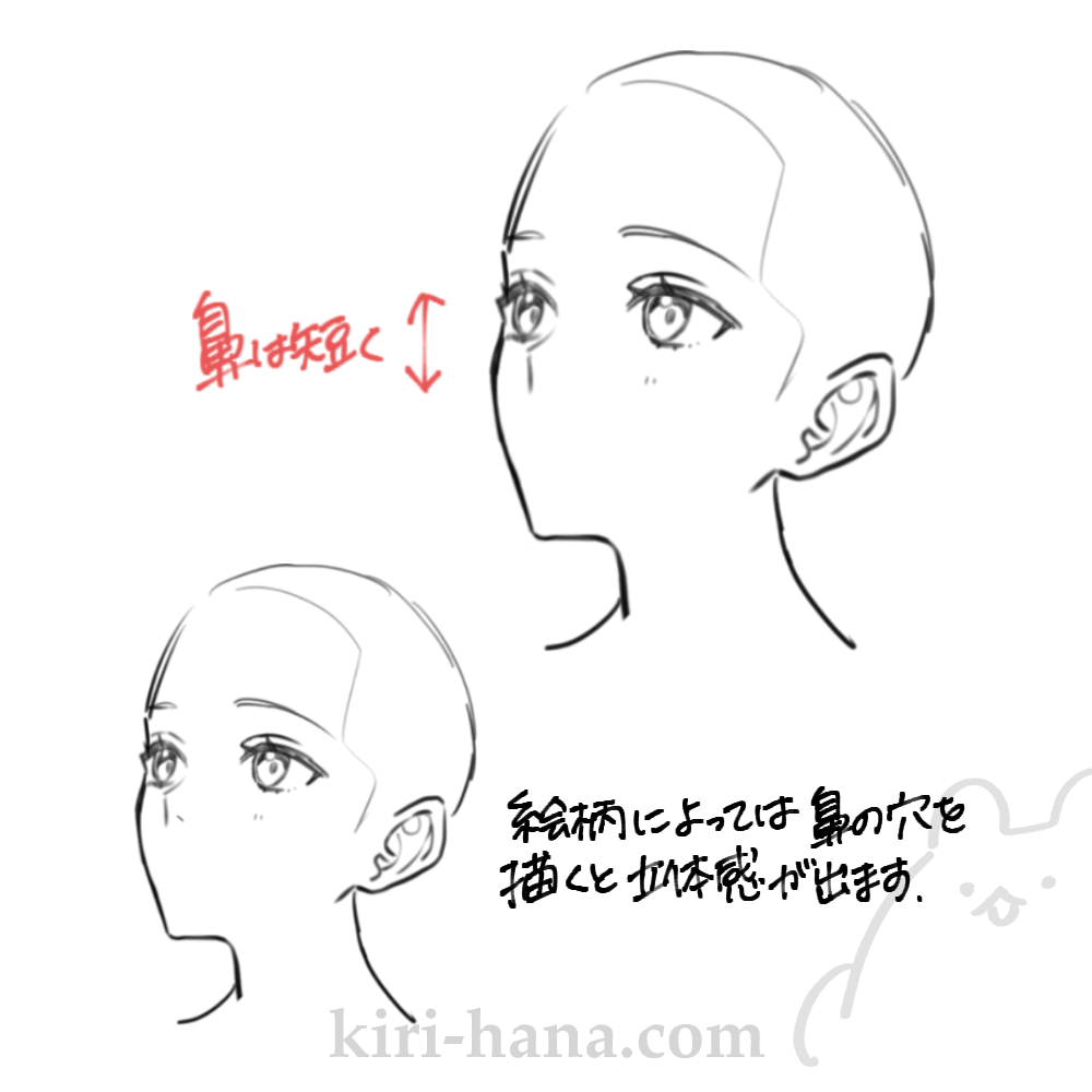 斜め上の角度の鼻の描き方