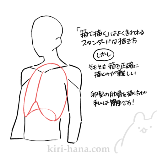 斜めの体を描く時は卵形の肋骨を意識すると簡単