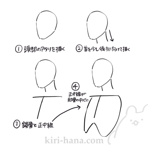 斜め体の描き方の基本ステップ。頭部のアタリから首、鎖骨と正中線を引き、卵形の肋骨を描いて肩と腕を配置する流れを解説した図。