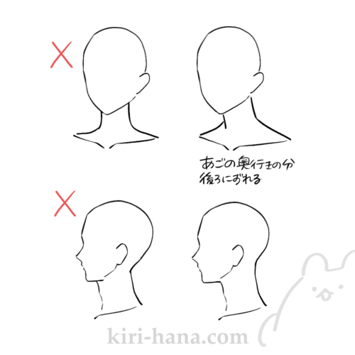 斜めから見たときの首の自然なつながりのポイント